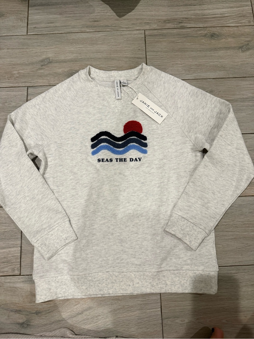 Janie and Jack Light Gray Crewneck Sweater with Wave & Red Sun Embroidery